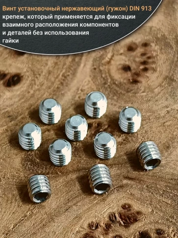 Винт установочный нержавеющий М8х8 DIN913 (гужон), 10 шт. фото 4