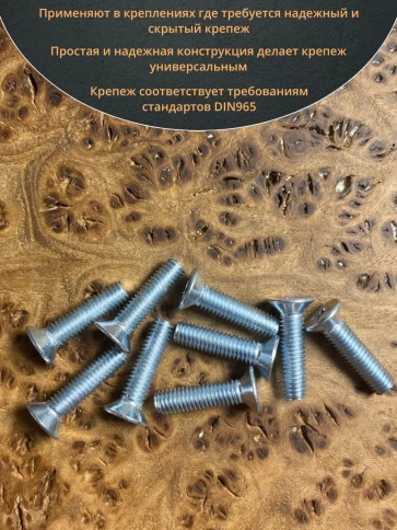 Винт потайной оцинкованный 5х20 DIN965, 100 шт. фото 4