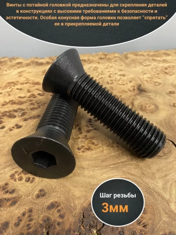 Винт потайной под шестигранник 24х90 DIN7991 к.п.10.9, 2шт фото 3