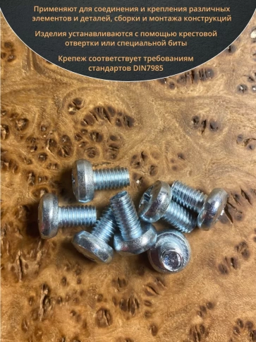 Винт с полукруглой головкой М6х10 ОЦ DIN7985, 10 шт. фото 4