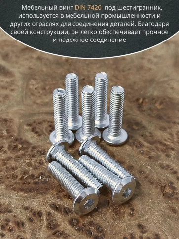 Винт мебельный 6х25 плоский под шестигранник DIN7420,20 шт фото 3