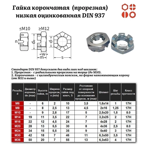 Гайка корончатая (прорезная) низкая М20 DIN 937-2 к.п.8 оцинкованная, 100 шт. фото 2