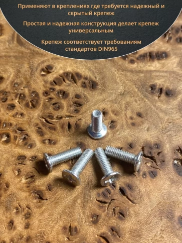 Винт потайной оцинкованный 3х10 DIN965, 10 шт. фото 4
