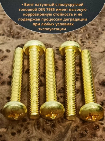 Винт 6х30  латунный с полукруглой гол. DIN7985,10 шт фото 3