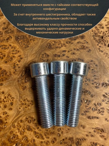 Винт под шестигранник ПР 16х60 мм ОЦ к.п.8.8 DIN912,  10 шт. фото 5