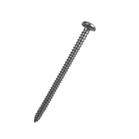 Саморез с полукруглой головкой 4,8х60 мм DIN 7981, нержавеющая сталь А2 фото 1