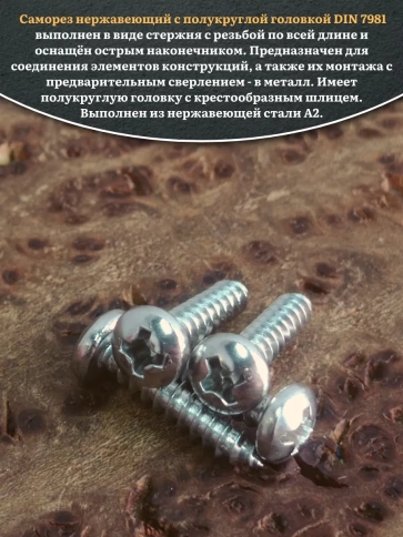 Саморез нержавеющий полукруглая гол. 2,9х16 DIN7981 , 100 шт. фото 4
