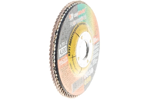 Круг лепестковый плоский A 100 КЛТ1 Луга фото 1