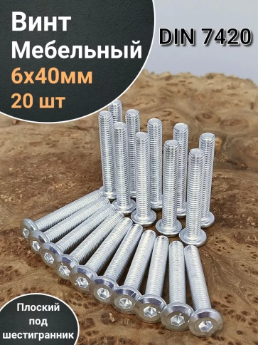 Винт мебельный 6х40 плоский под шестигранник DIN7420,20 шт фото 1